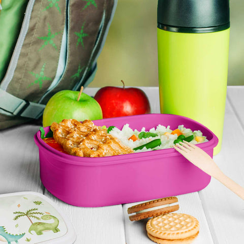 Drukowany lunchbox dla dzieci - Dinozaury